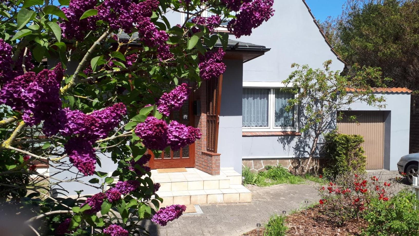 Ferienhaus Zur Waldfee คุกซ์ฮาเวน ภายนอก รูปภาพ